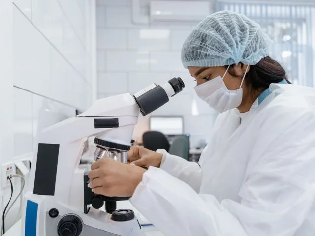 Mikrobiológiai minta mikroszkópos vizsgálata a laborban